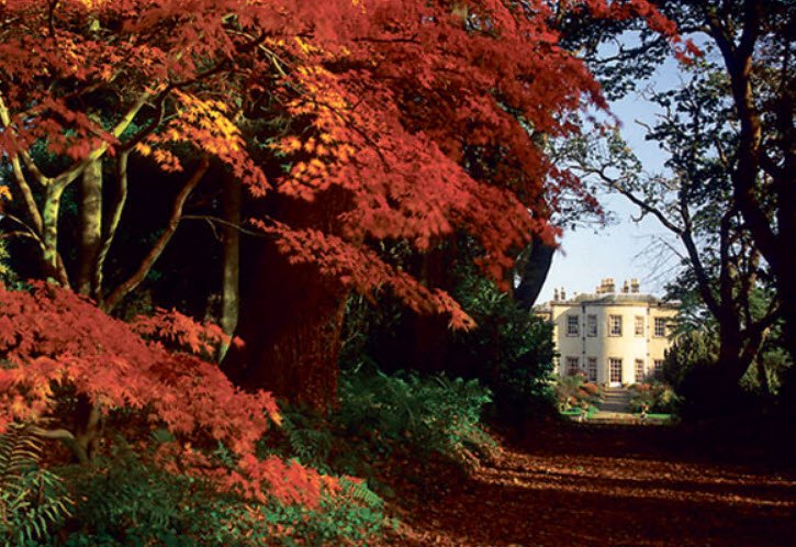 Thorp Perrow - Arboretum and Bird of Prey &amp; Mammal Centre, United Kingdom, United Kingdom